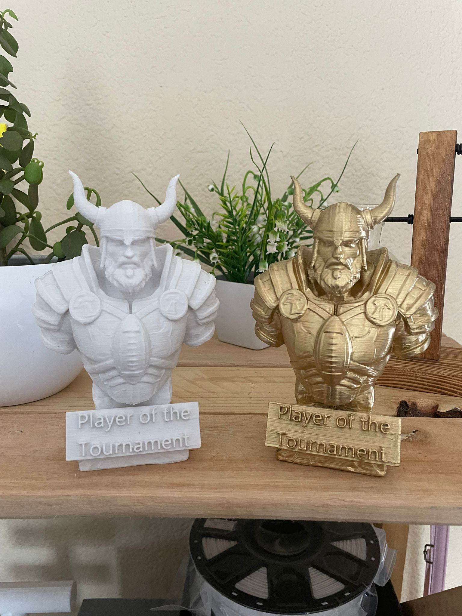 Custom 3D-Printed Trophy